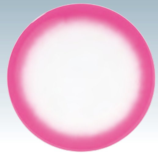 回転寿司皿 ピンク ぼかし塗 φ15ｃｍ 食洗対応