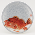 φ150寿司皿 シルバーパールカサゴ